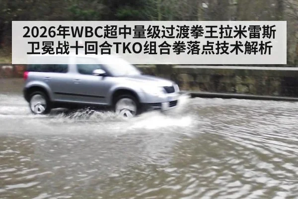 2026年WBC超中量级过渡拳王拉米雷斯卫冕战十回合TKO组合拳落点技术解析