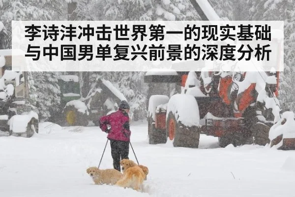 李诗沣冲击世界第一的现实基础与中国男单复兴前景的深度分析